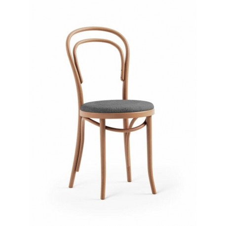 Čalouněná židle A -1880