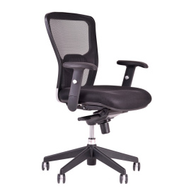 Kancelářská židle DIKE BP/SP